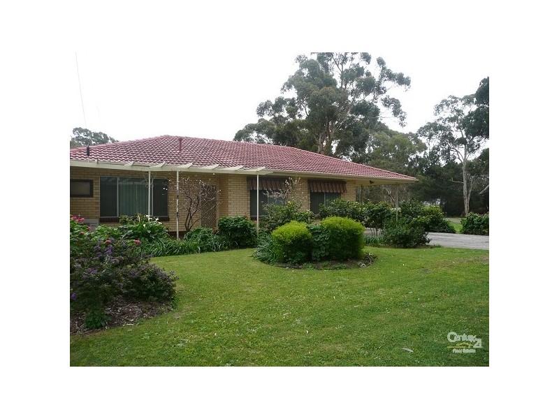 4 Seymour Avenue, Modbury SA 5092
