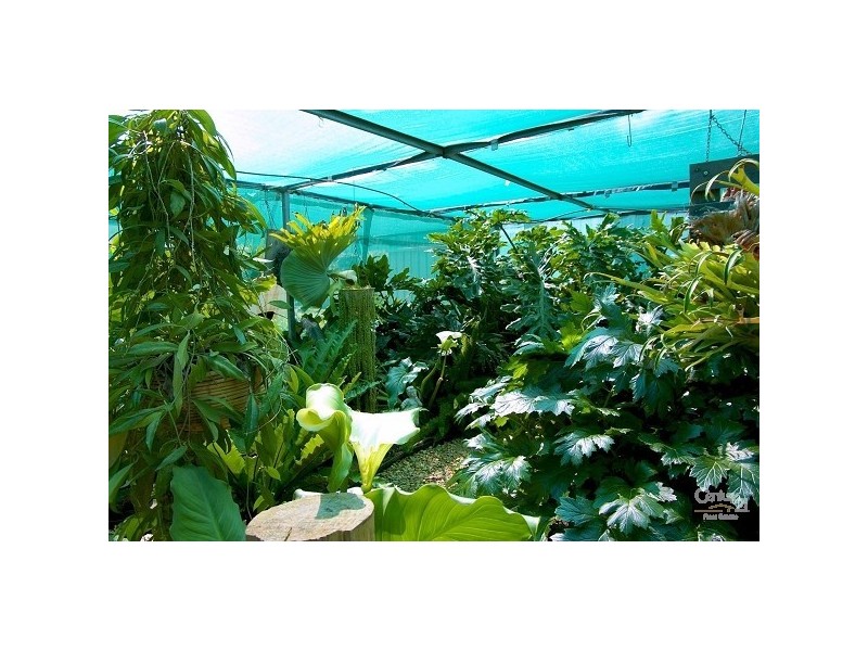 Lot 1  (111) Nine Mile Road, Willyaroo SA 5255