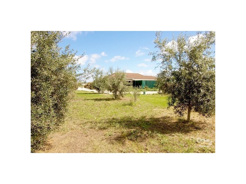 Lot 1  (111) Nine Mile Road, Willyaroo SA 5255