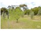 Lot 1  (111) Nine Mile Road, Willyaroo SA 5255