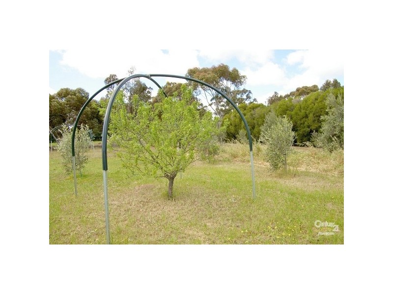 Lot 1  (111) Nine Mile Road, Willyaroo SA 5255