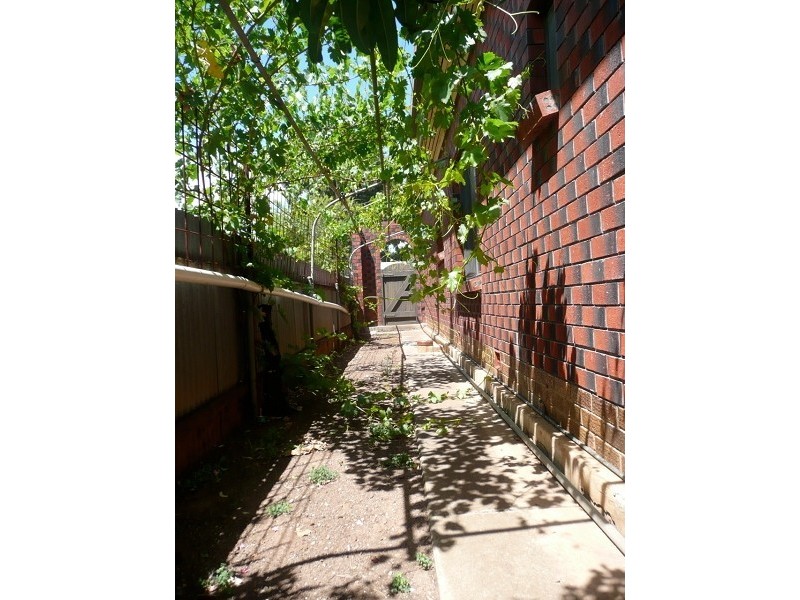 17 Ashbrook Avenue, Payneham SA 5070