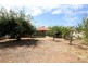 14 Thain Avenue, Findon SA 5023