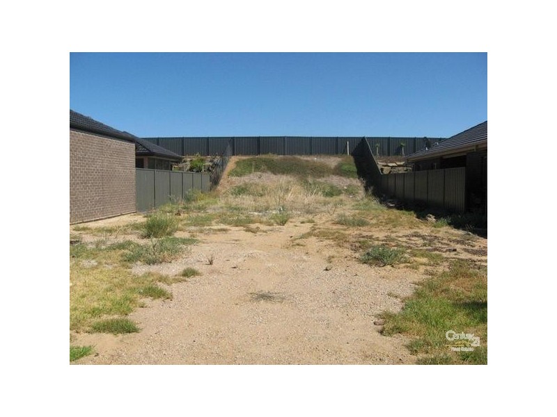 41 Nelson Crescent, Mawson Lakes SA 5095