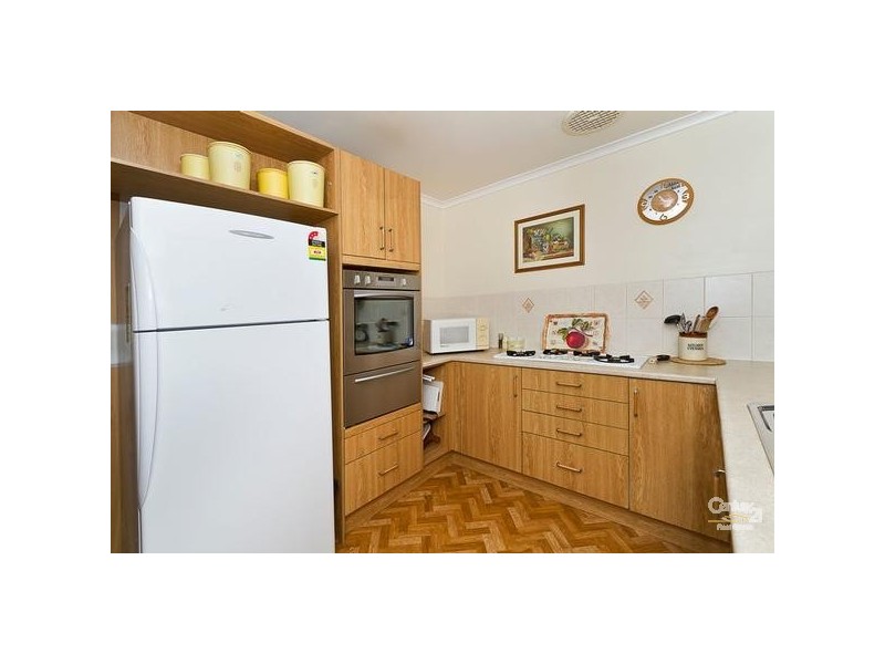 31 Shelley Street, Tea Tree Gully SA 5091