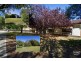 31 Shelley Street, Tea Tree Gully SA 5091