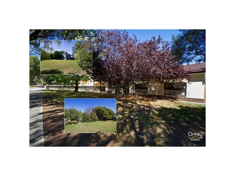 31 Shelley Street, Tea Tree Gully SA 5091
