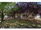 31 Shelley Street, Tea Tree Gully SA 5091
