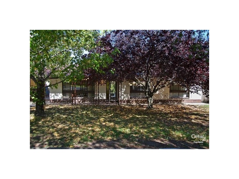 31 Shelley Street, Tea Tree Gully SA 5091