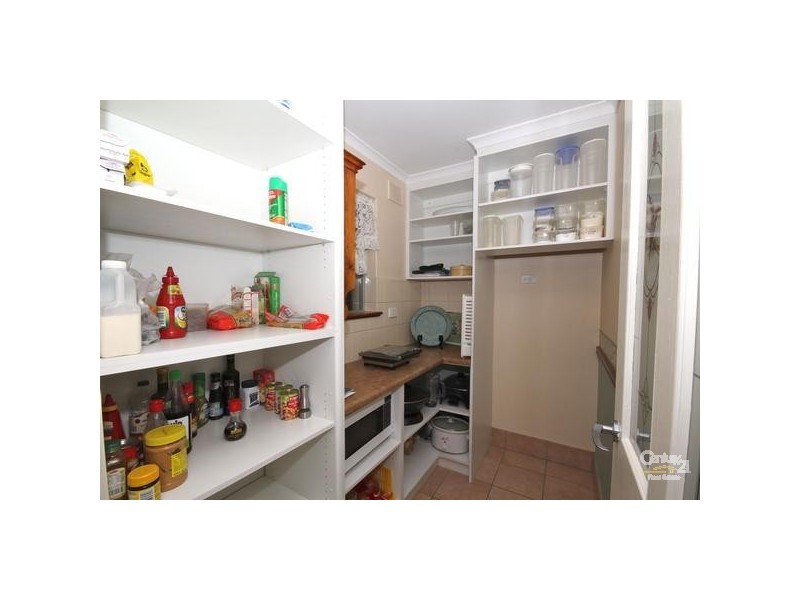 13 Pangari Drive, Fairview Park SA 5126