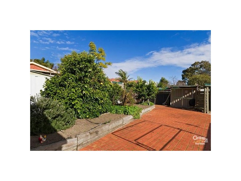 445 Grenfell Road, Banksia Park SA 5091