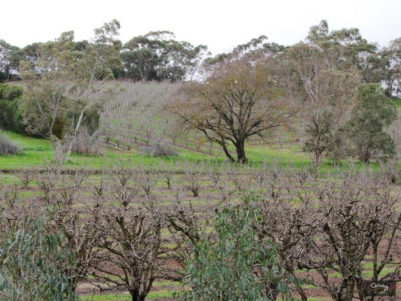 2016 North East Road, Inglewood SA 5133