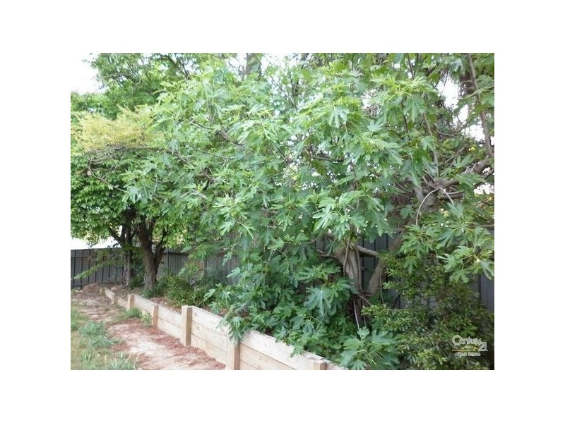 387 Grenfell Road, Banksia Park SA 5091