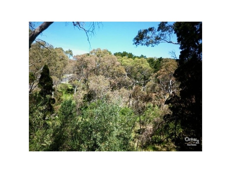 55 Haines Rd, Banksia Park SA 5091