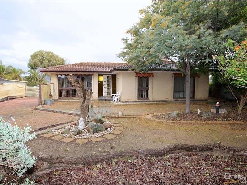 17 Brigalow Avenue, Modbury SA 5092