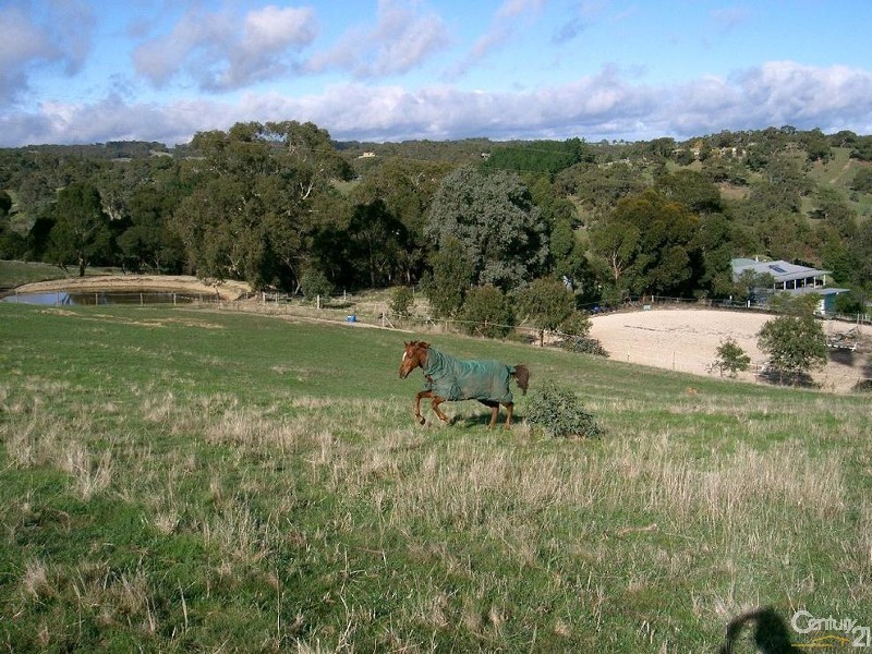 362 Millbrook Road, Inglewood SA 5133