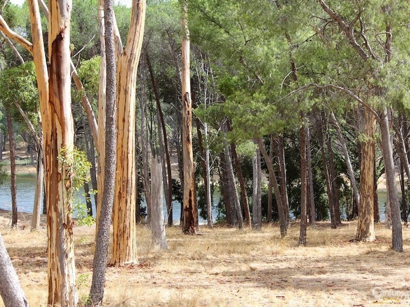 930 Lower North East Road, Highbury SA 5089