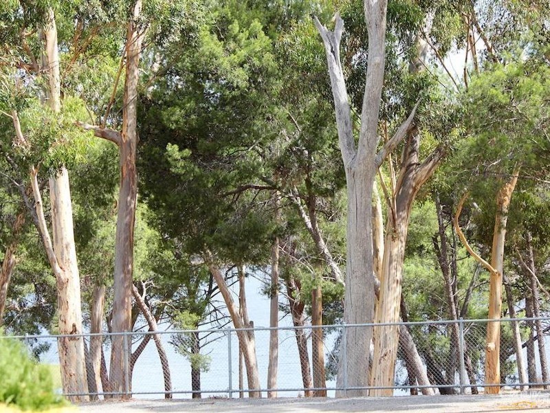 930 Lower North East Road, Highbury SA 5089