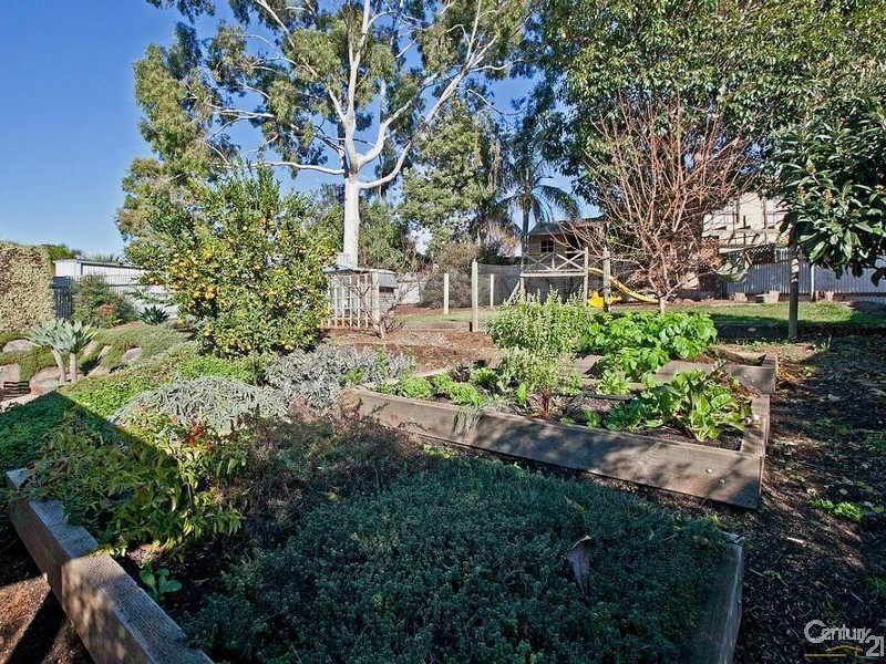 14 Kingfisher Drive, Modbury Heights SA 5092