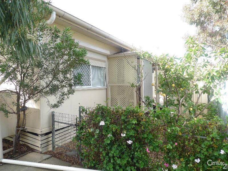 8 Swanson Avenue, Gilles Plains SA 5086
