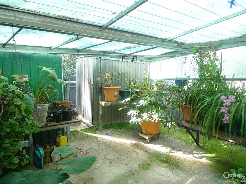 8 Swanson Avenue, Gilles Plains SA 5086