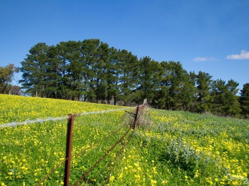 134 Tyeka Drive, One Tree Hill SA 5114