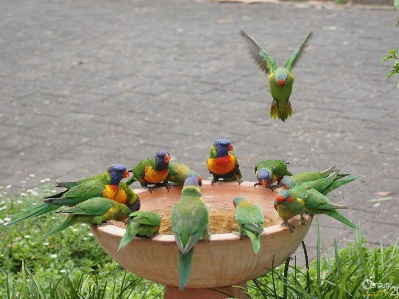 3/82 Second Avenue, Klemzig SA 5087