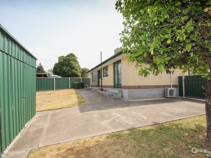 13 Dale Ave, Ridgehaven SA 5097