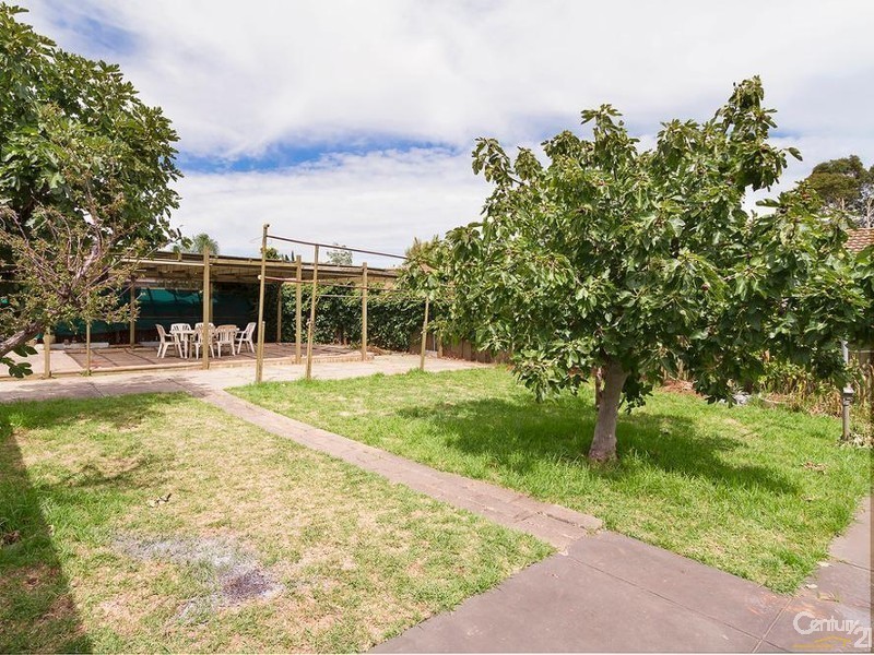 169 Marian Road, Firle SA 5070