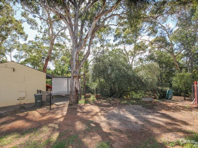 19 Lincoln Drive, Redwood Park SA 5097