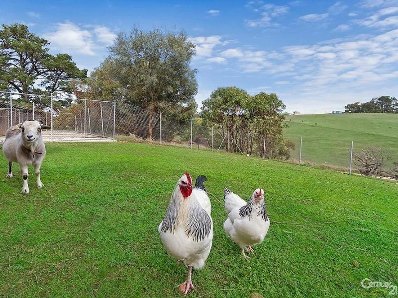 102 Rake Road, Kersbrook SA 5231