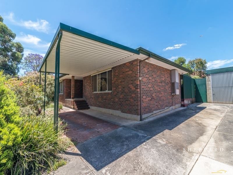41 Cinnamon Avenue, St Agnes SA 5097