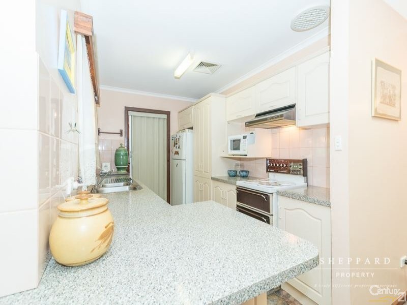 41 Cinnamon Avenue, St Agnes SA 5097