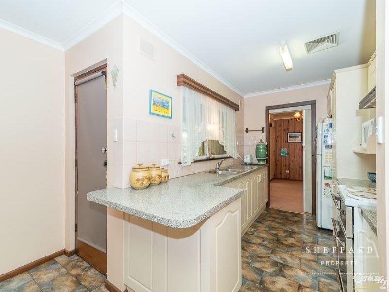 41 Cinnamon Avenue, St Agnes SA 5097