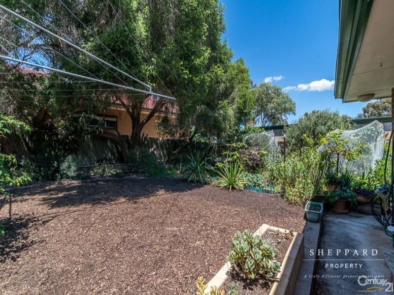 41 Cinnamon Avenue, St Agnes SA 5097