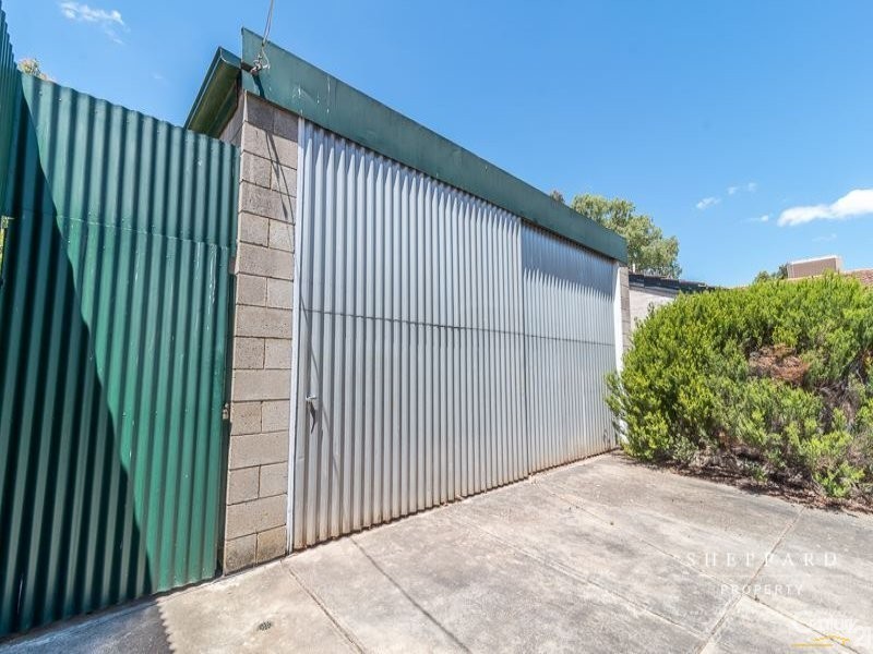 41 Cinnamon Avenue, St Agnes SA 5097