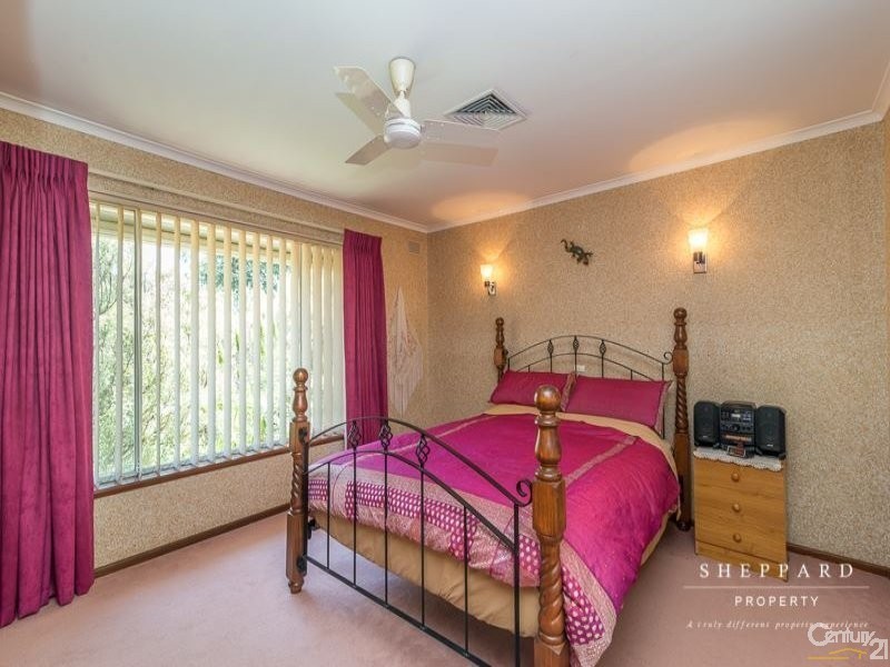 41 Cinnamon Avenue, St Agnes SA 5097