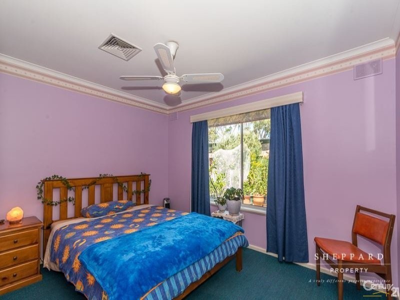 41 Cinnamon Avenue, St Agnes SA 5097