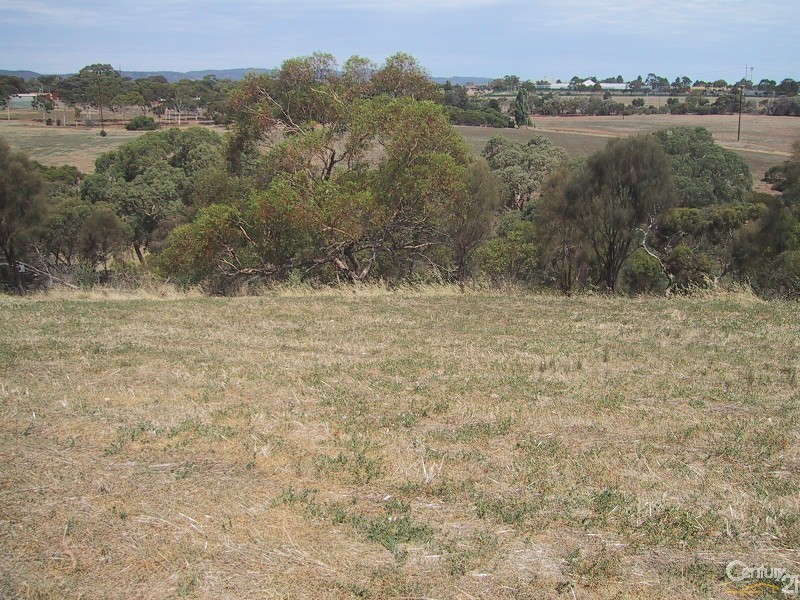 4 Hay Court, Walkley Heights SA 5098