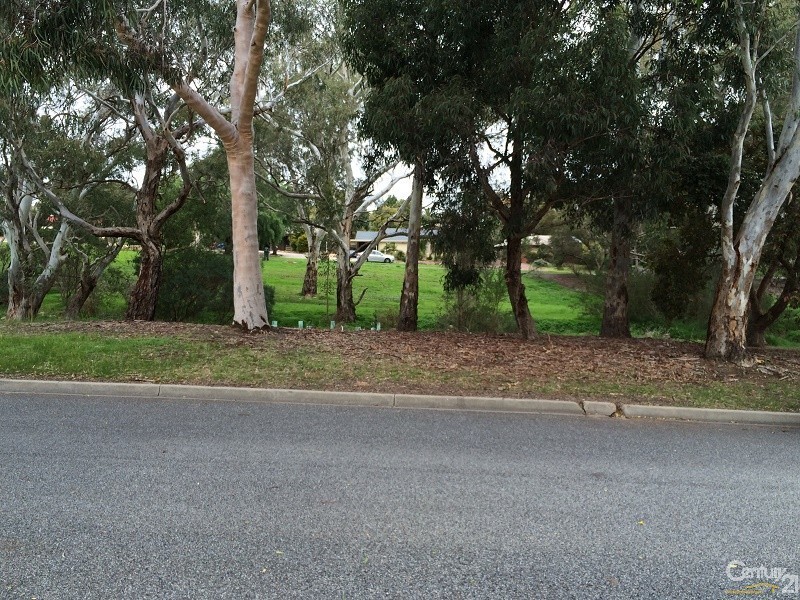 45 Amanda Drive, Surrey Downs SA 5126