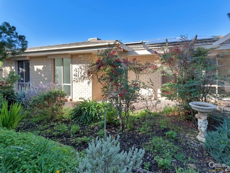 5 Minton Avenue, Modbury Heights SA 5092