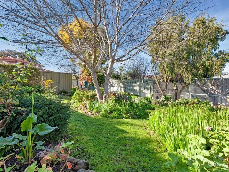 5 Minton Avenue, Modbury Heights SA 5092