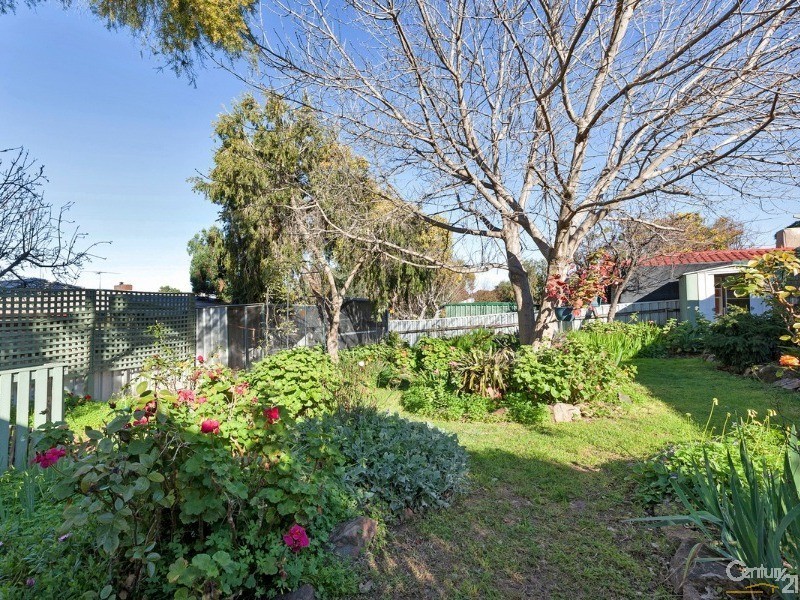 5 Minton Avenue, Modbury Heights SA 5092