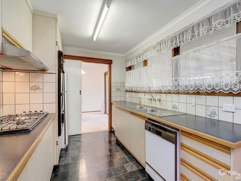 11 Olympus Avenue, Modbury Heights SA 5092