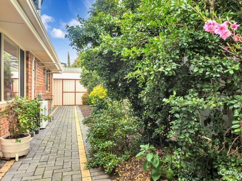 40 Harvey Ave, Walkley Heights SA 5098
