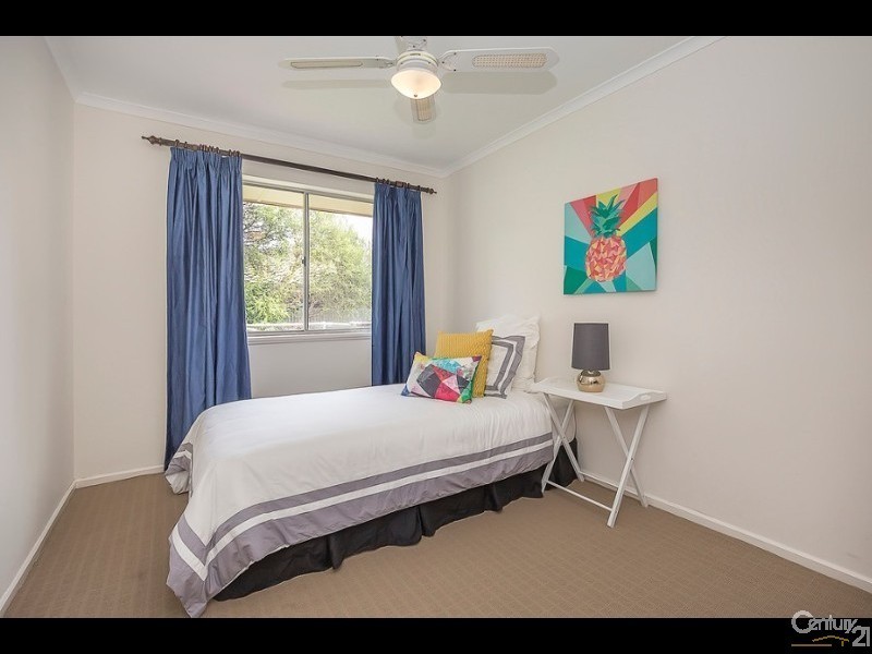 19 Gifford Avenue, St Agnes SA 5097