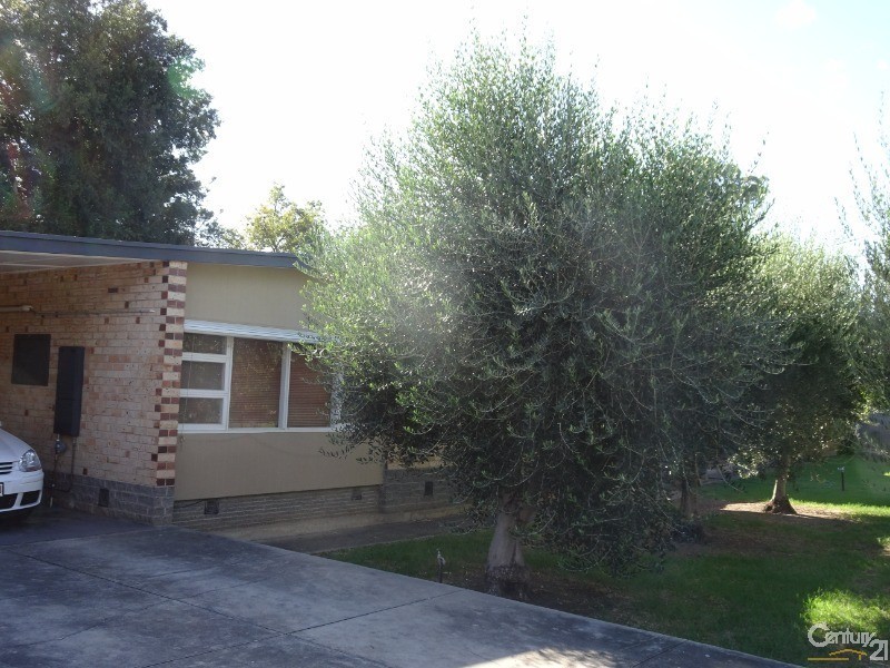 25 James Street, Campbelltown SA 5074