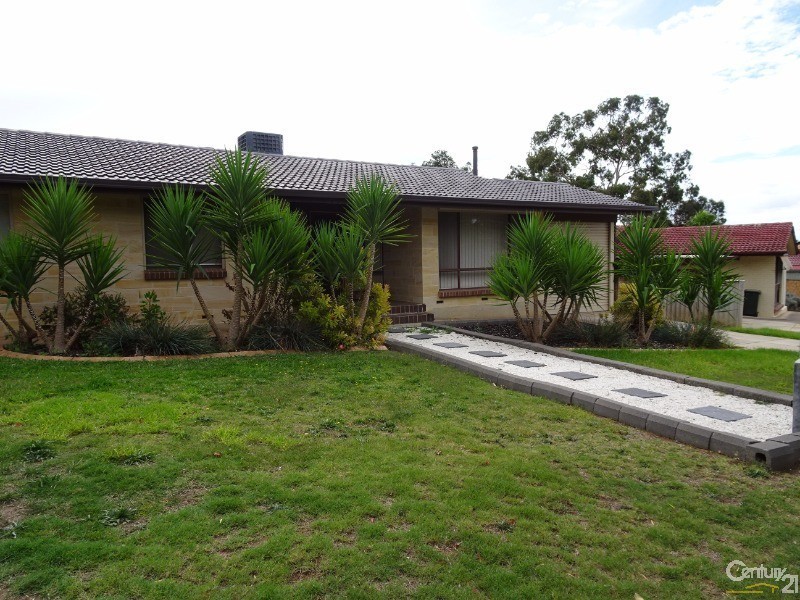 10 Newcombe Drive, Gilles Plains SA 5086