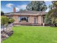 116 Elizabeth Street, Banksia Park SA 5091