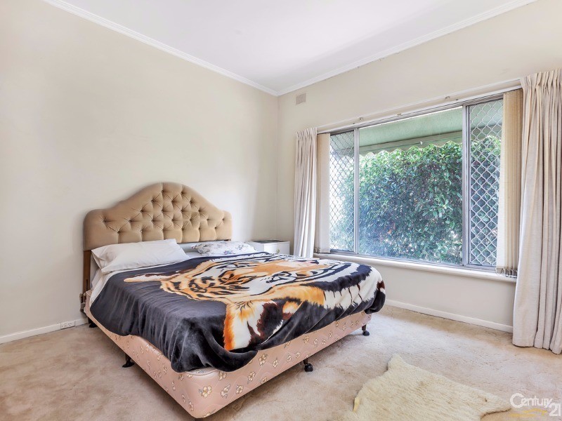 116 Elizabeth Street, Banksia Park SA 5091